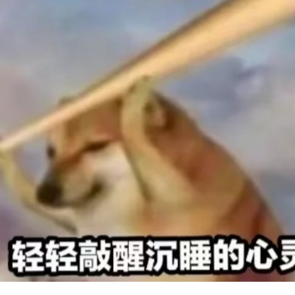 赖东东不错嘛