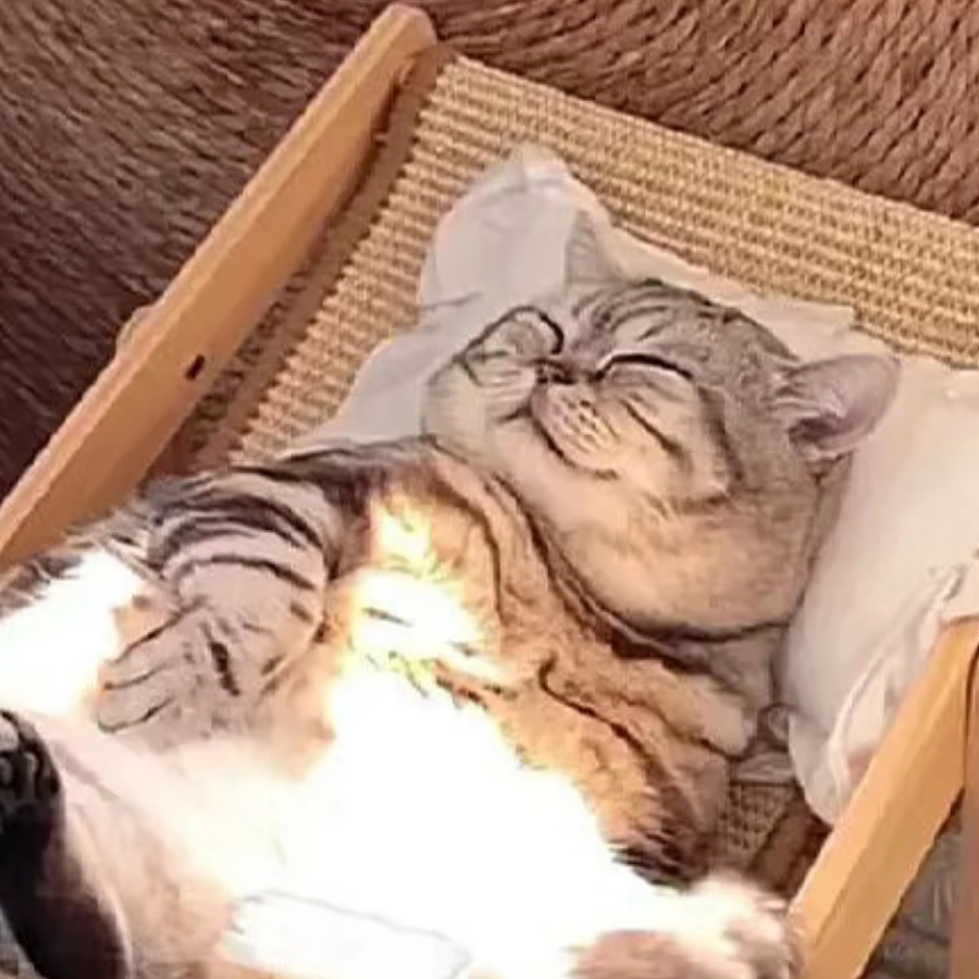 于伯达