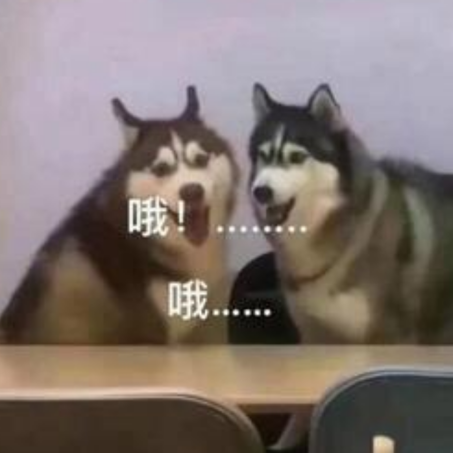 三狗对视