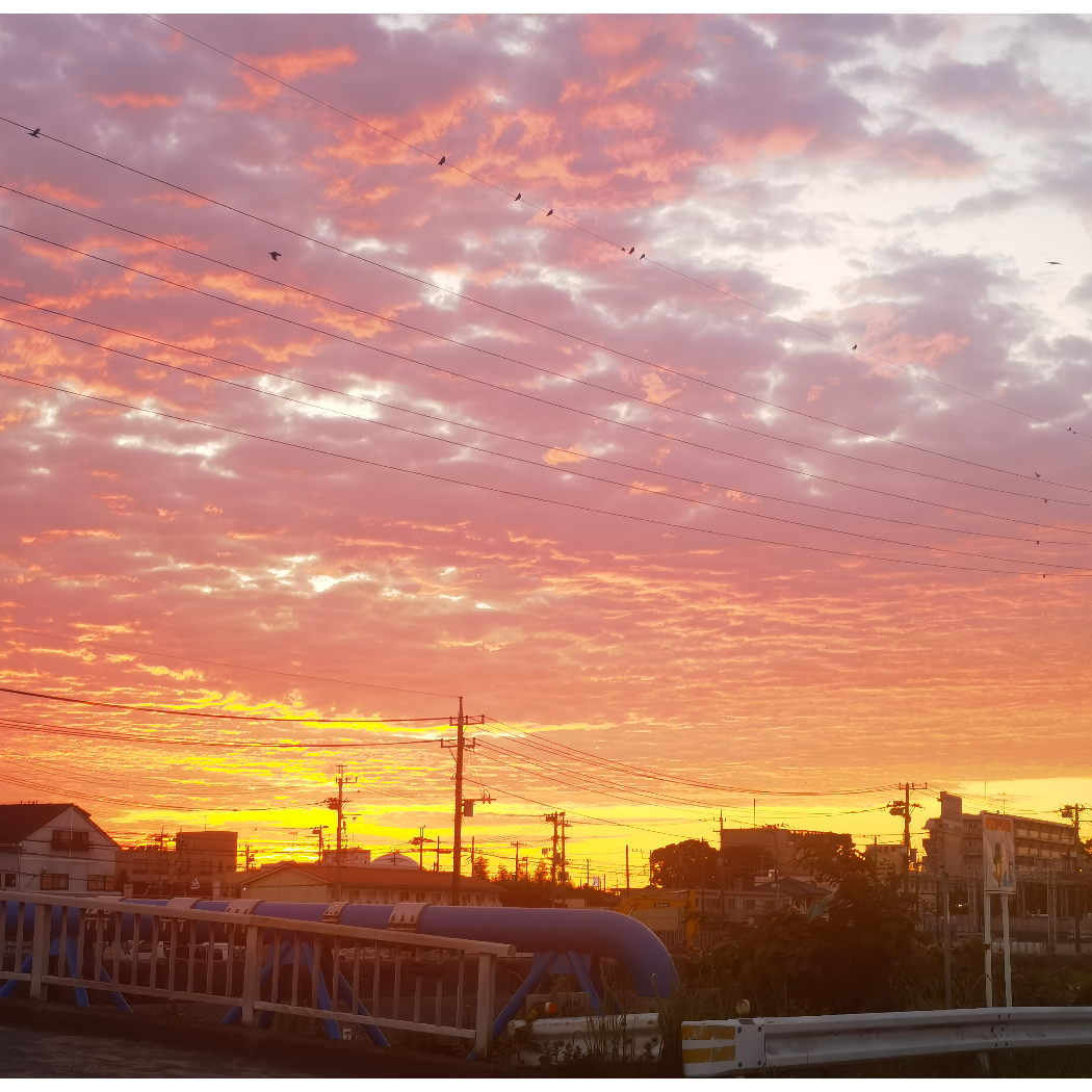 馒头就米饭
