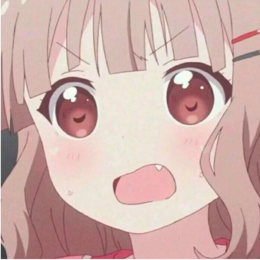 欣宝