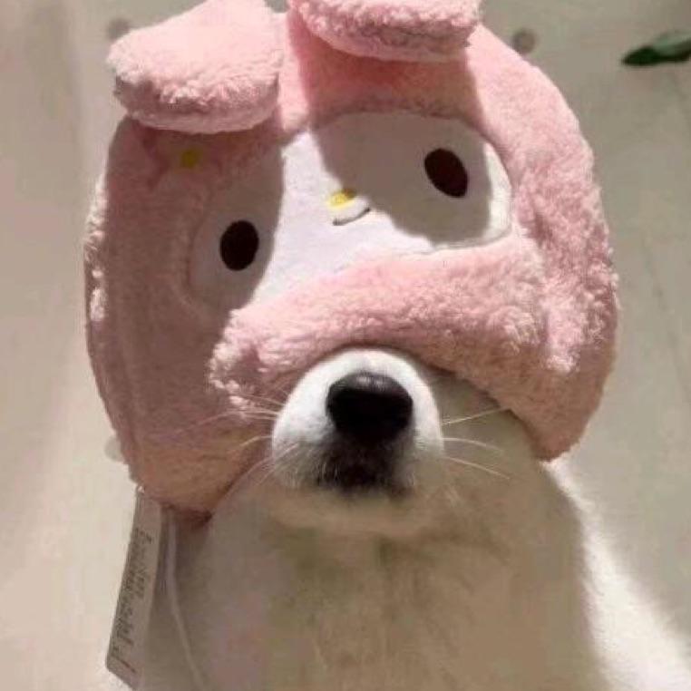 最好看的瓜