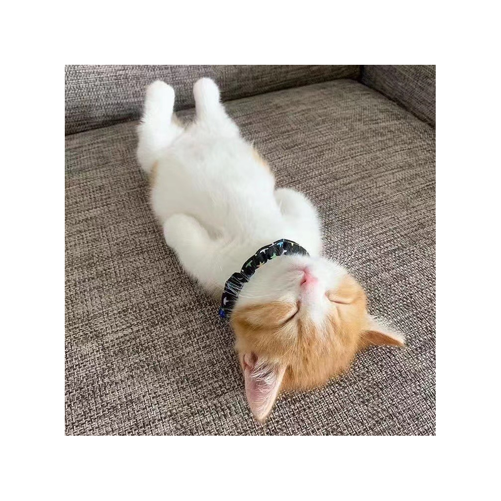 煣诚相伴