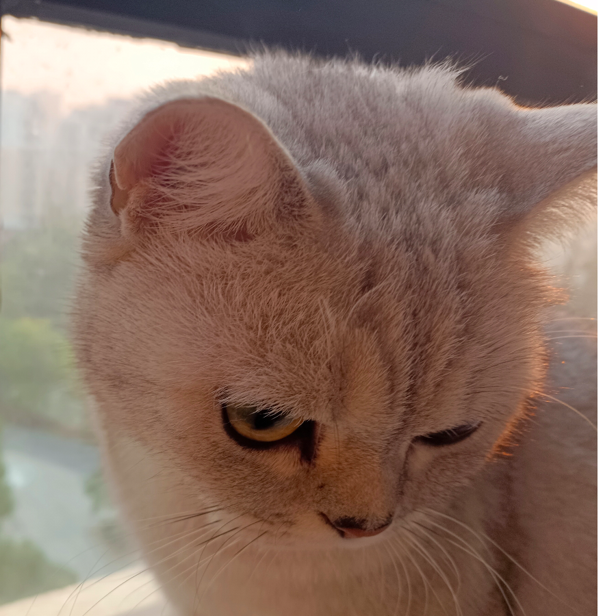 可爱的小女孩