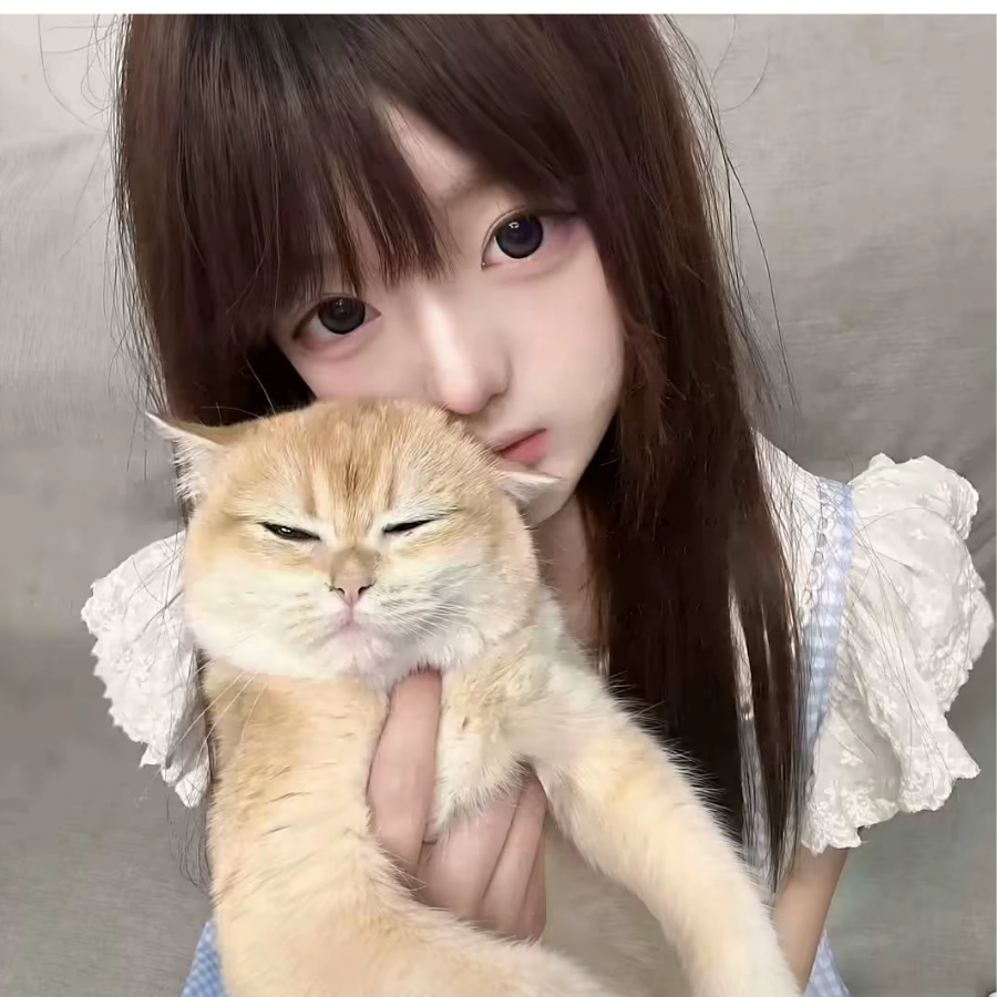 凌