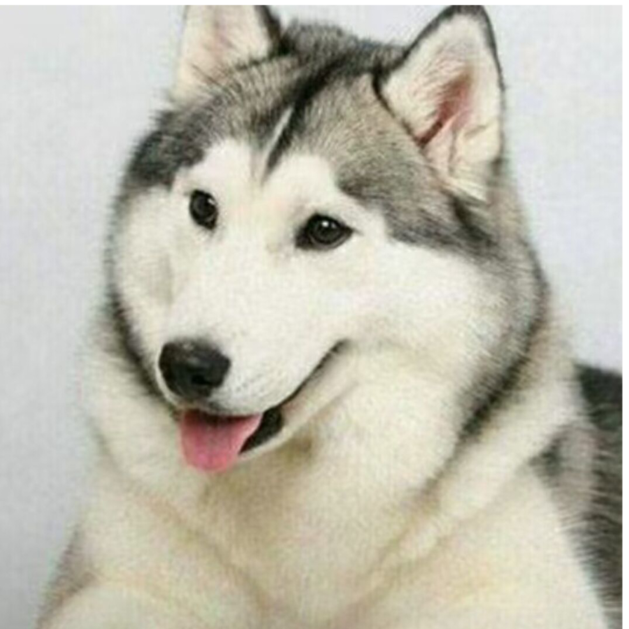 艾