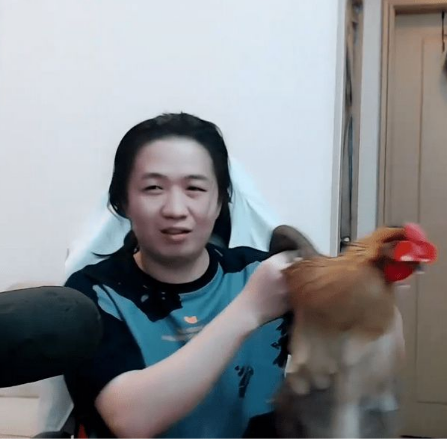 清辞梅玛