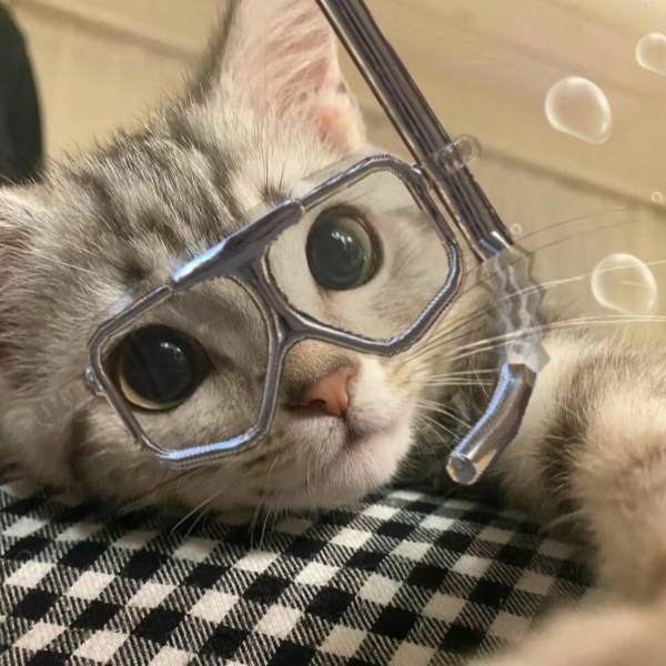 卡提西娅∮宝