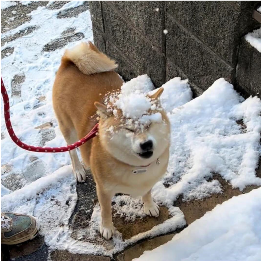 愿携秋水揽星河