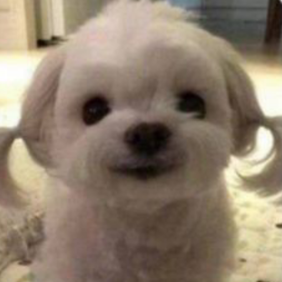 咩