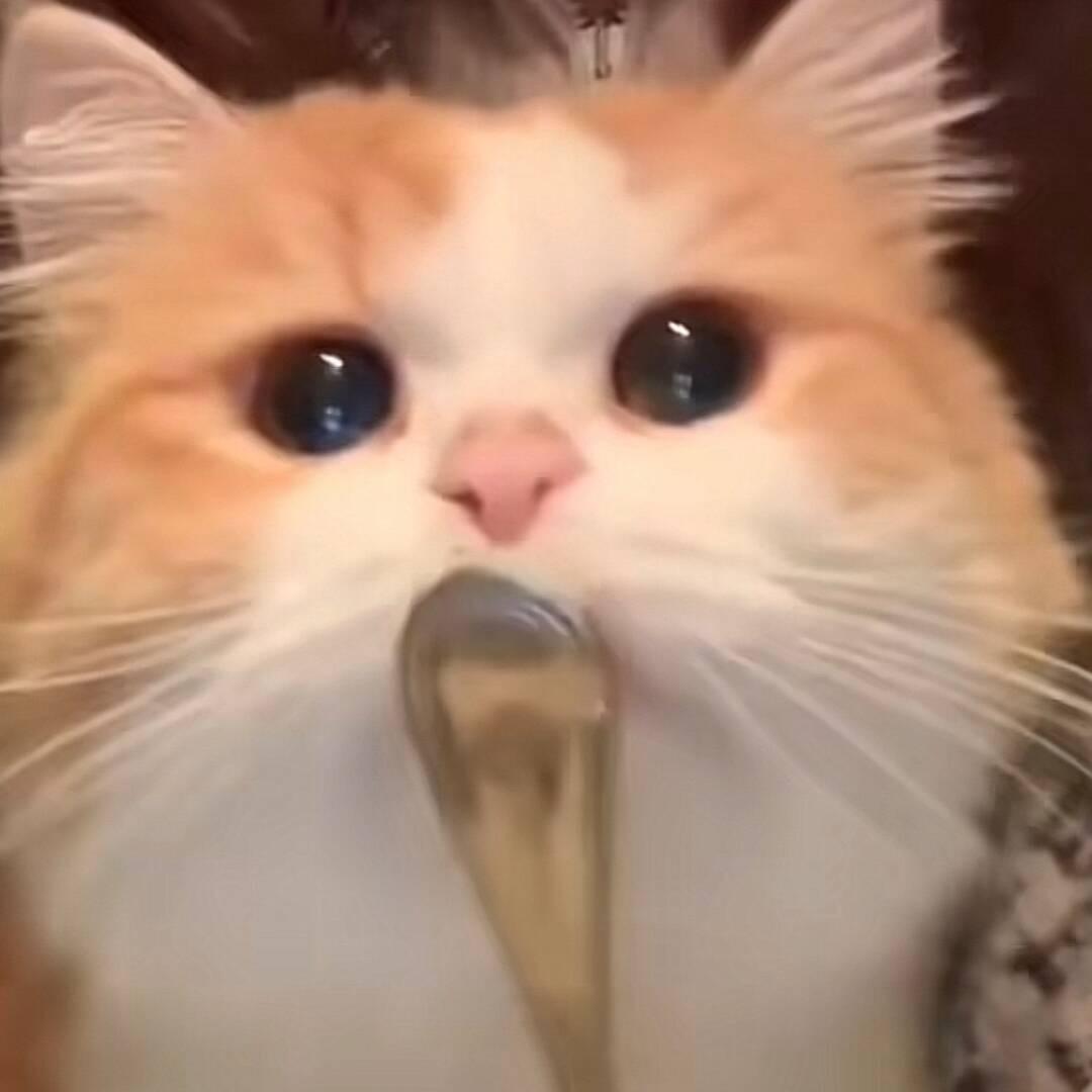 Vei.