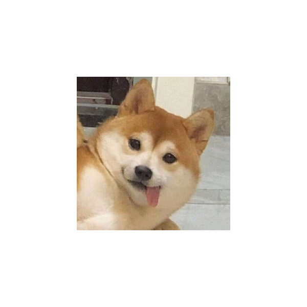 勾栏听曲