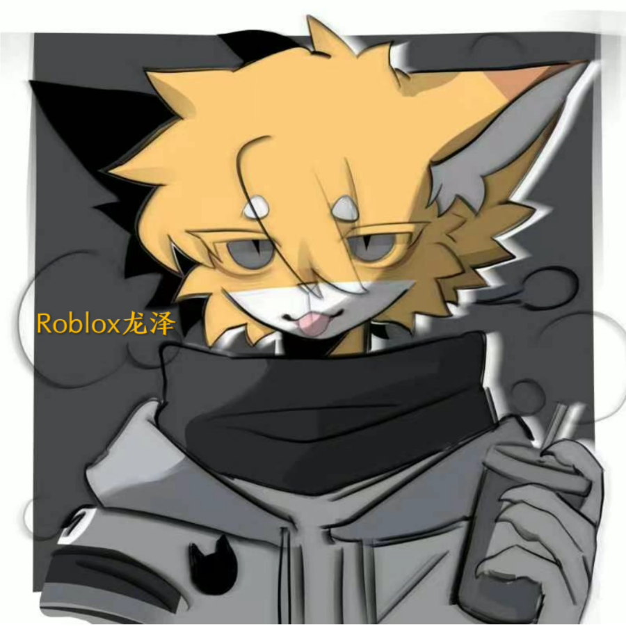 Roblox龙泽