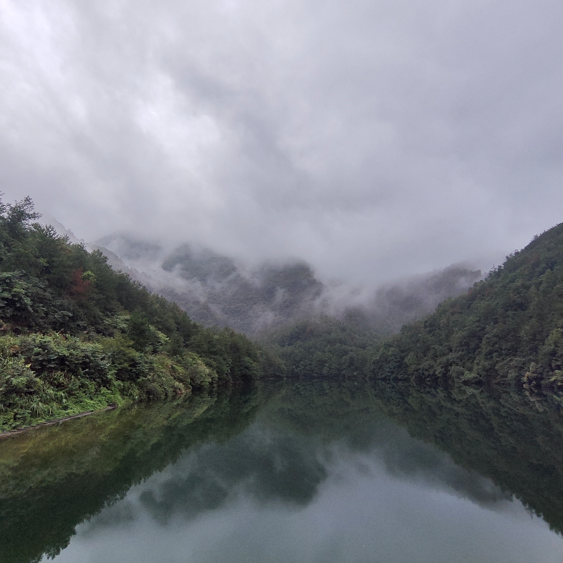 风吹雨