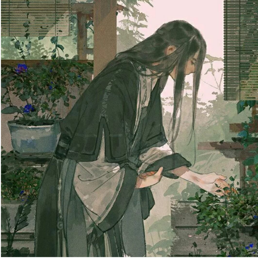 无忧卿