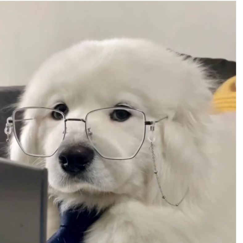 午时三刻茶