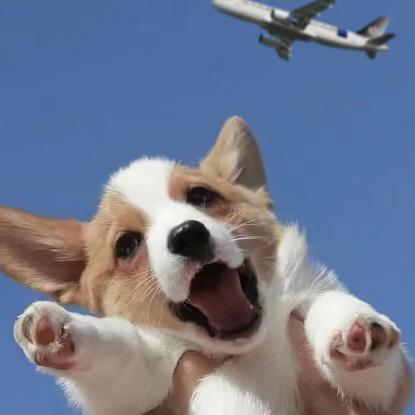 Aasskis