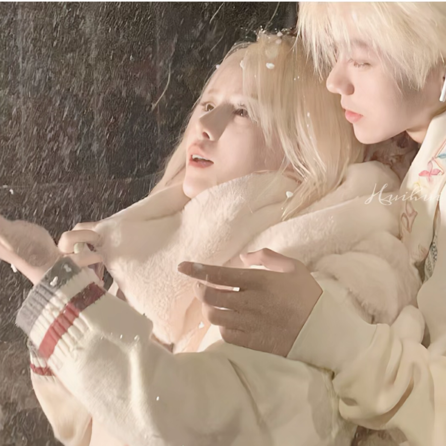 小熊
