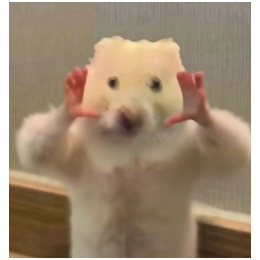 <Hy