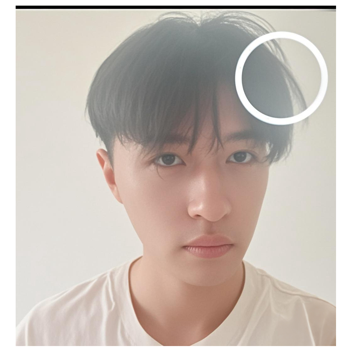 羽