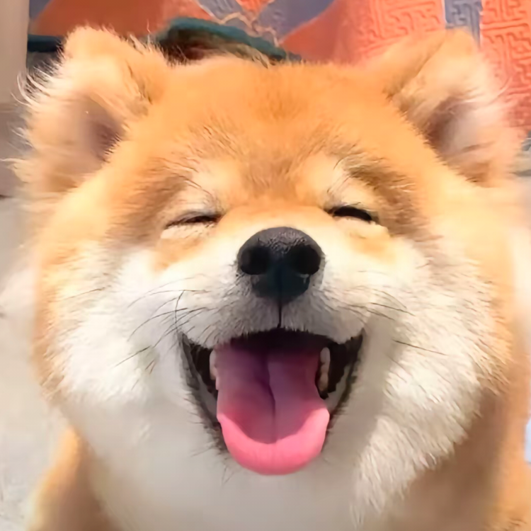慕