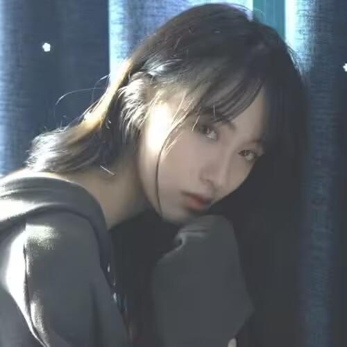 潜水鸢