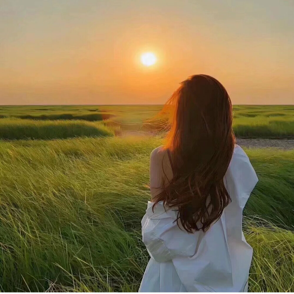 宋的小海螺鸭