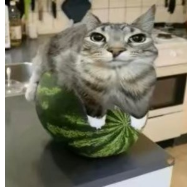 星云边