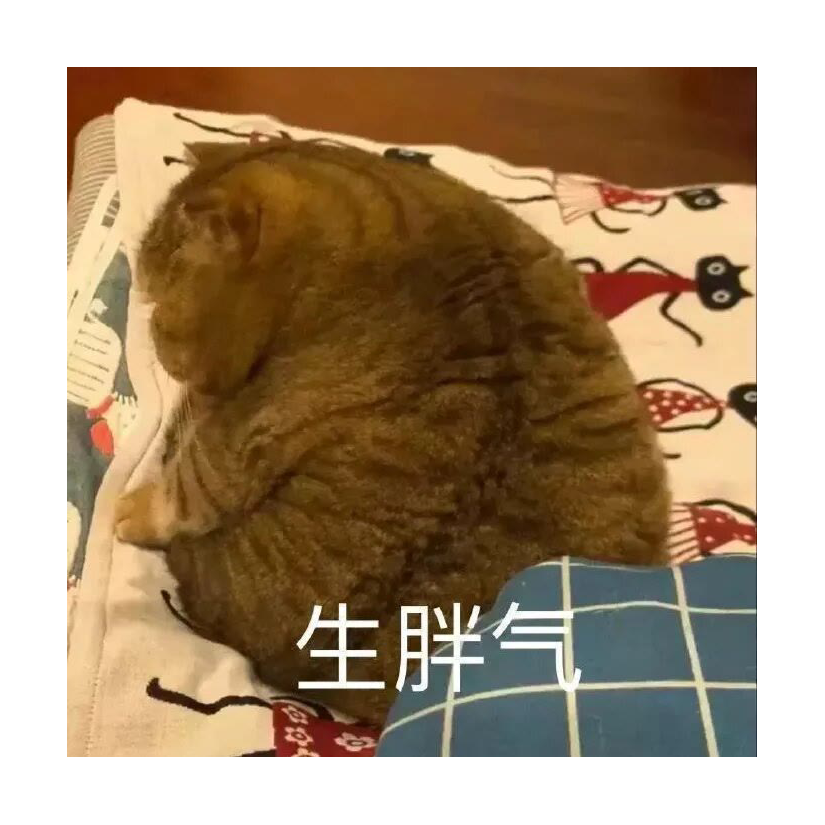 我是小猪头