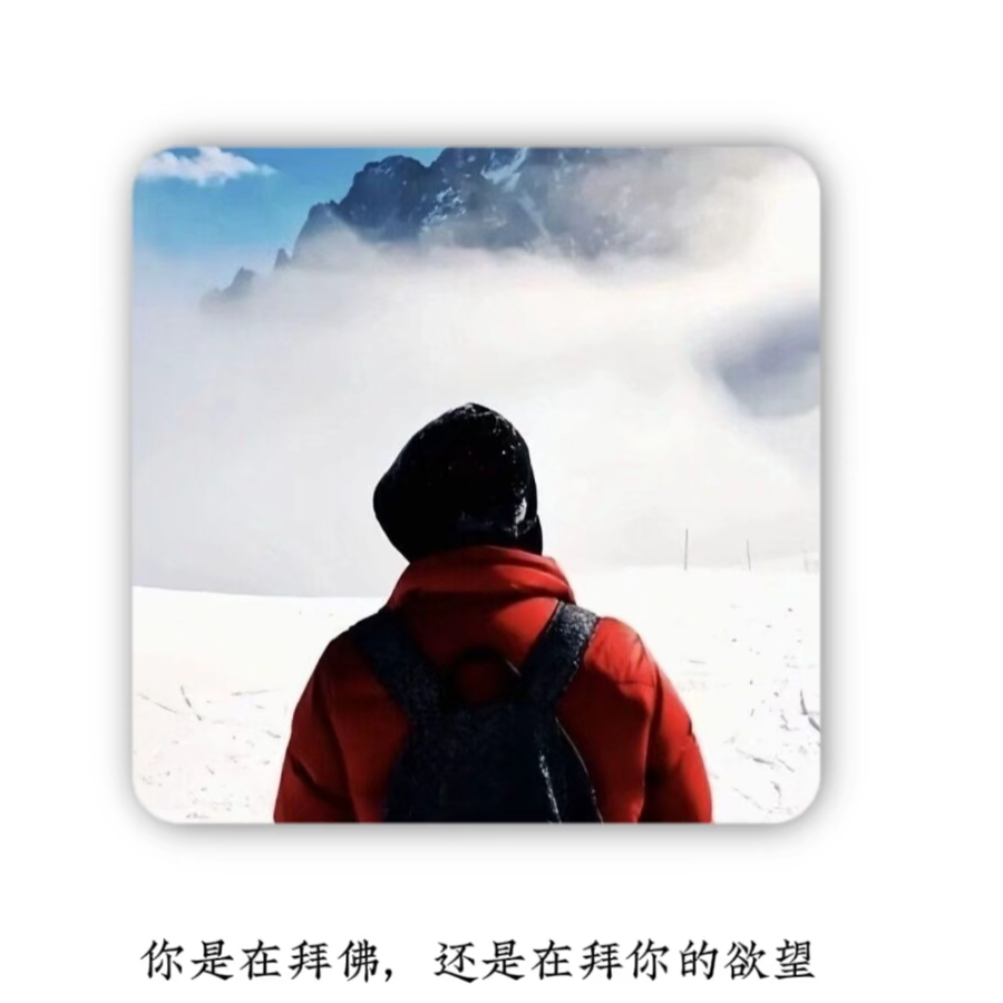 小虎