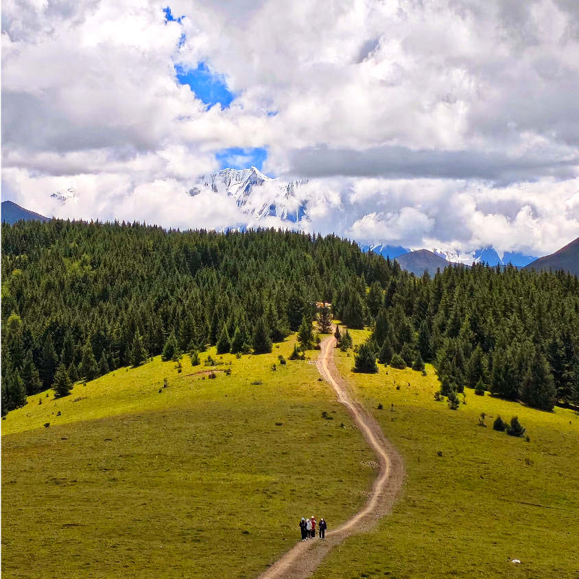 怼无二的昵称，怼无二的我