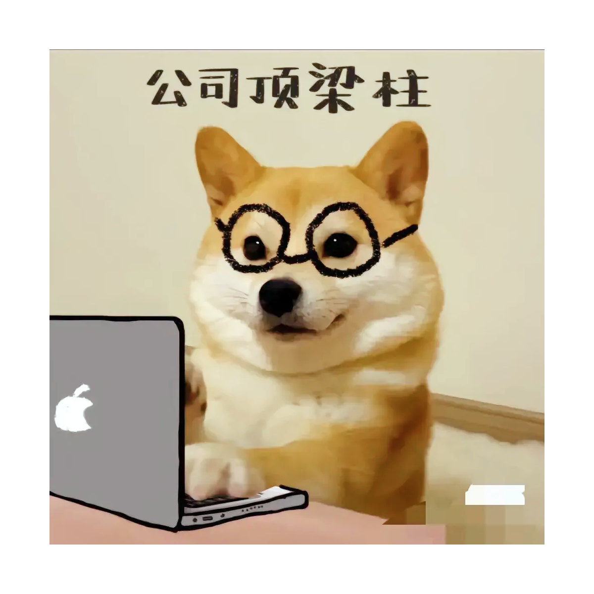▄︻┻┳一Tokisak＆Ku