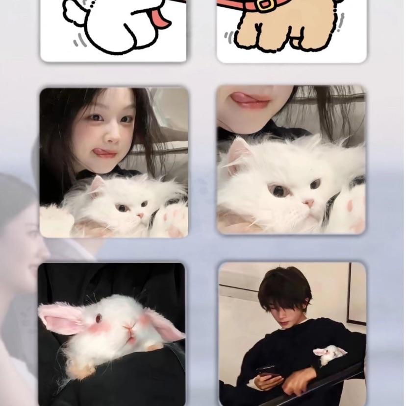小夏先生