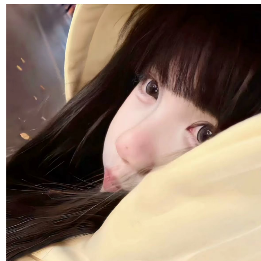 甜困鼠