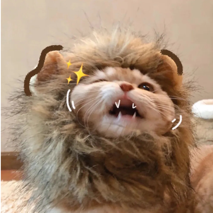 船