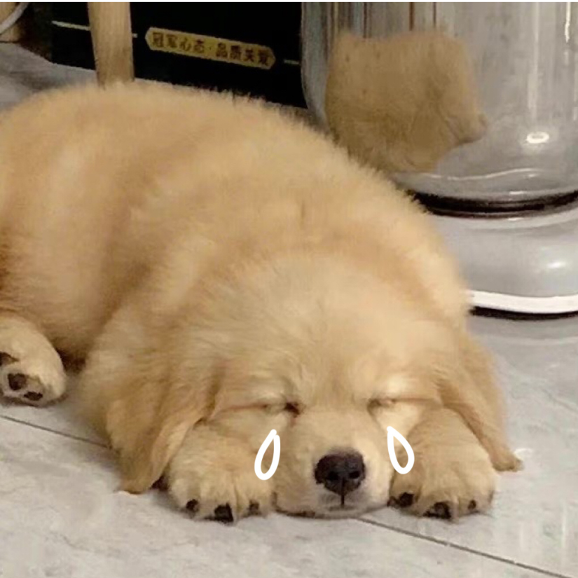 zzz