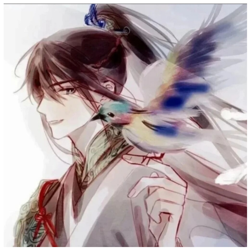 诺叶