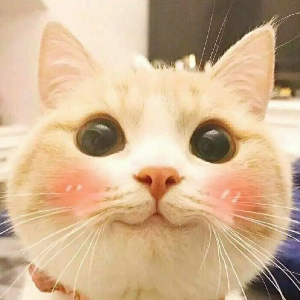 顺其自然
