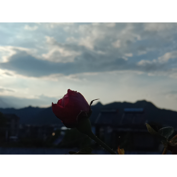 山海.