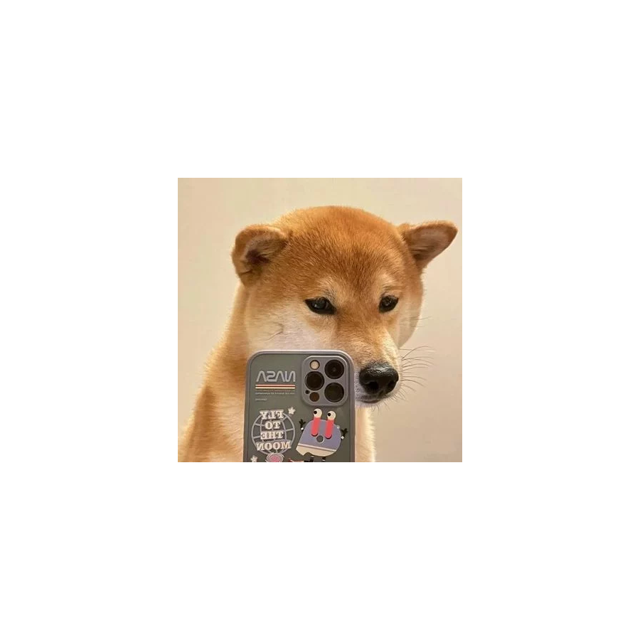 头像是本人