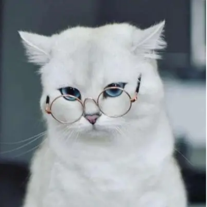 忆.独醉.