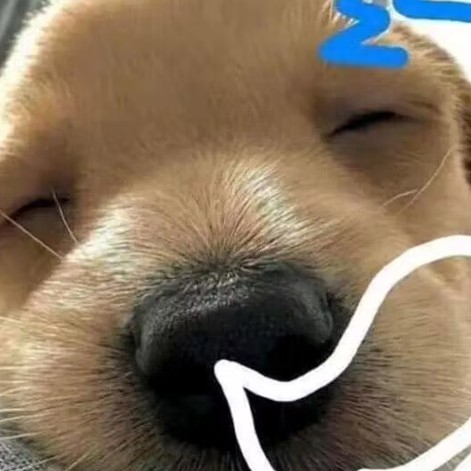 可爱修修~