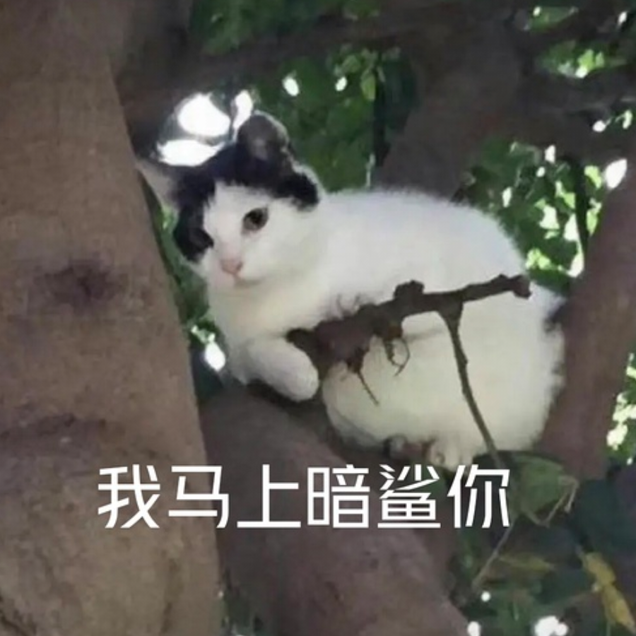小海哲