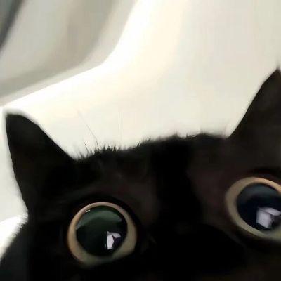 张三