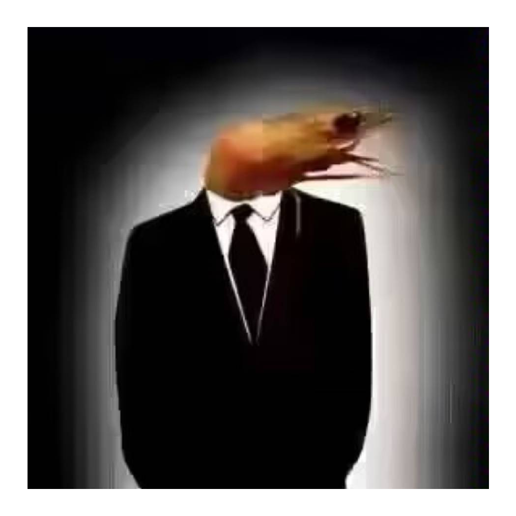 虾头男