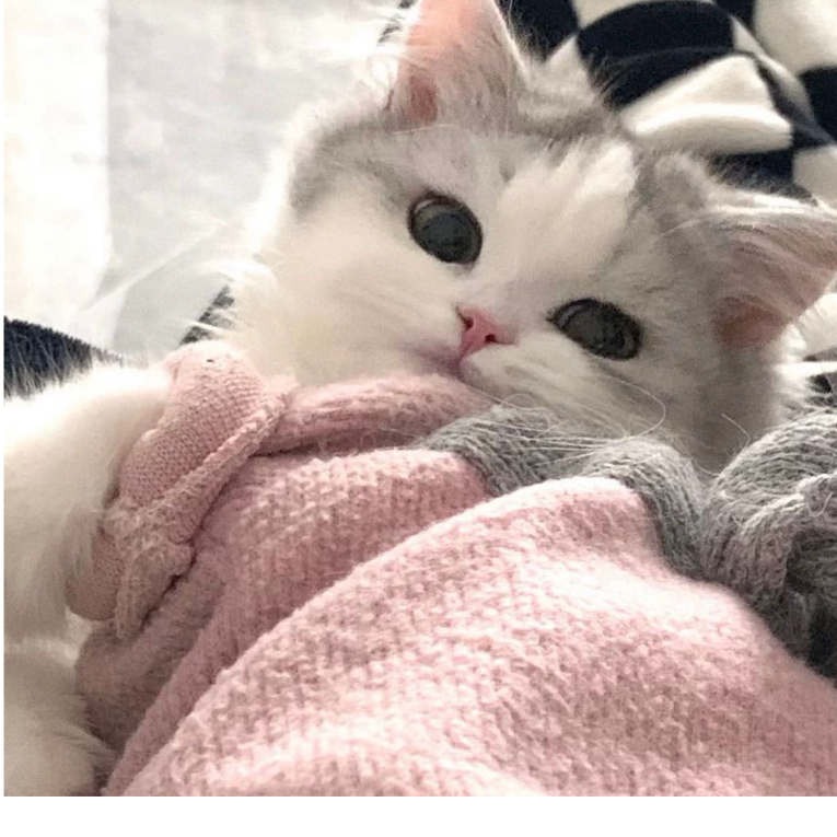 余妄