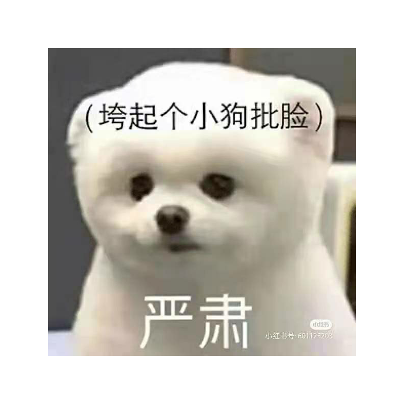 十倍好运张快快