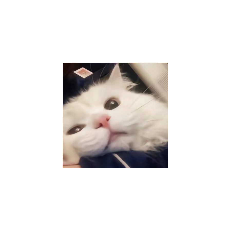 爱睡觉