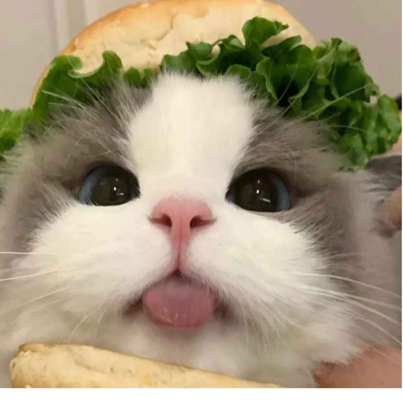 小鱼