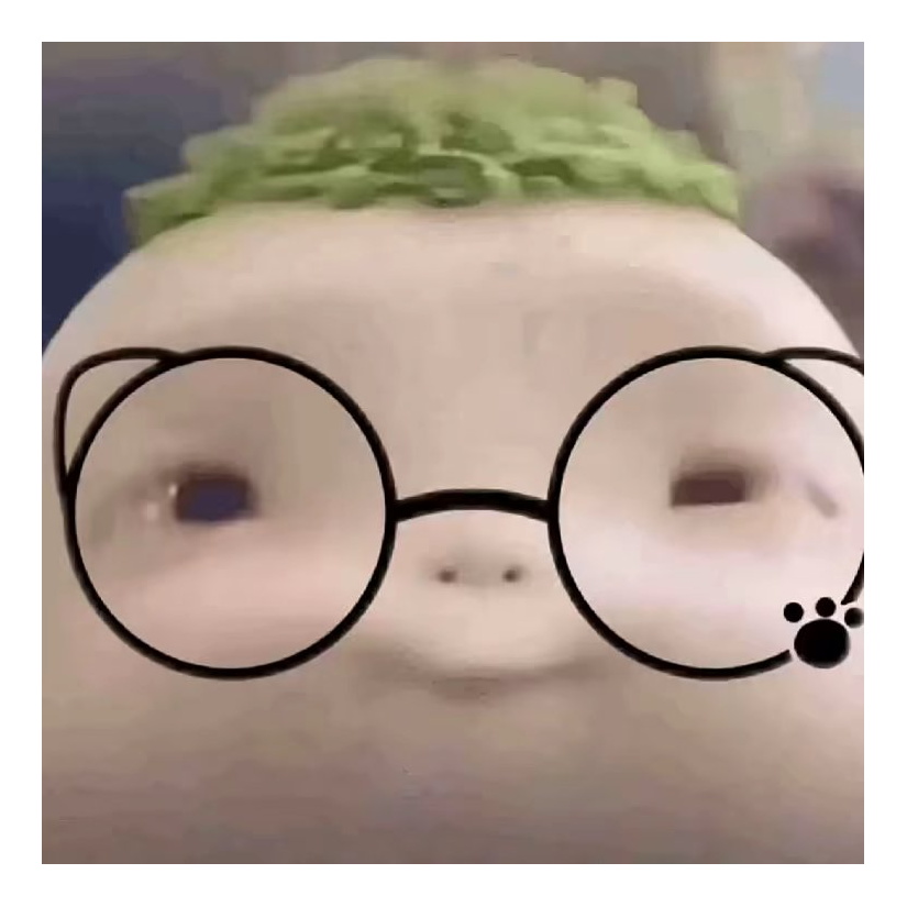南北的蒲